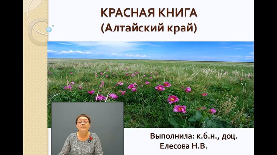 Красная Книга Алтайский Край Фото